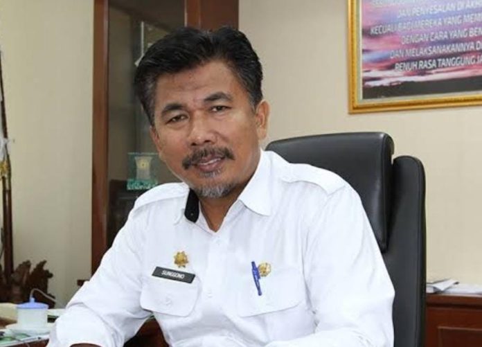 WhatsApp Image 2024-05-11 at 18.40.34