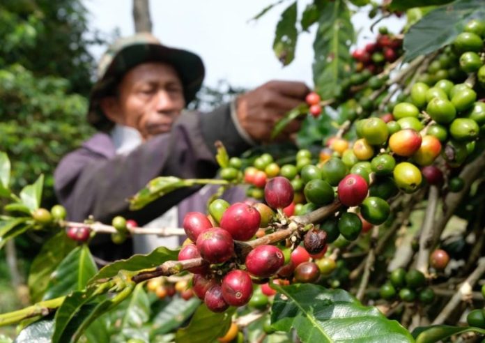 WhatsApp Image 2024-05-11 at 18.44.42