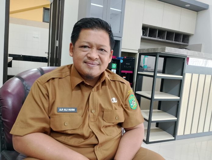 WhatsApp Image 2024-05-24 at 01.19.48