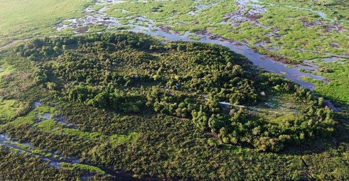 WhatsApp Image 2024-05-30 at 16.34.23