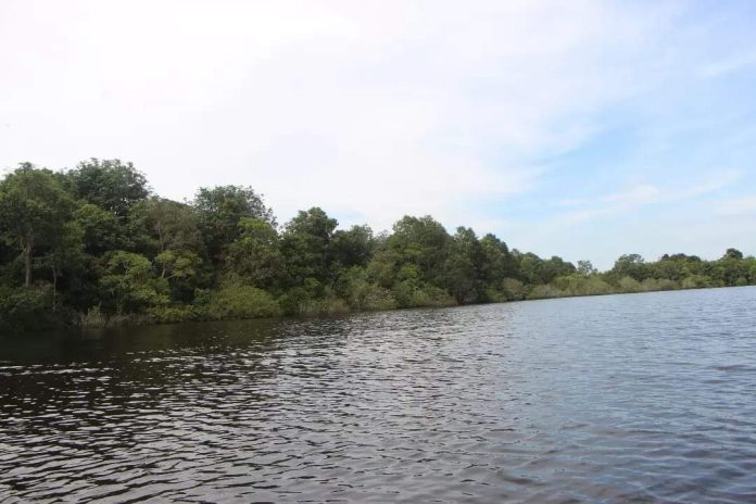 WhatsApp Image 2024-05-30 at 16.59.41